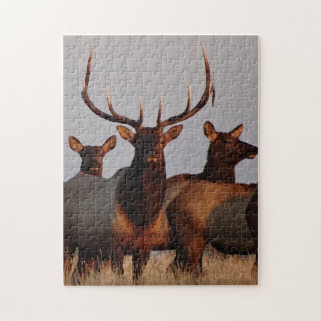 E66 Bull Elk and Cows Puzzle (Vertikal)