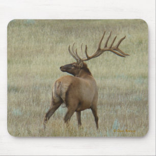 E6 Bull-Elch in Samt Mousepad