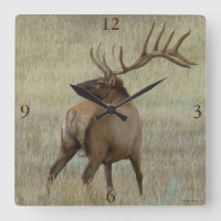 E6 Bull Elk in Velvet