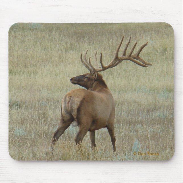 E6 Bullenelch in Velvet Mousepad (Vorne)