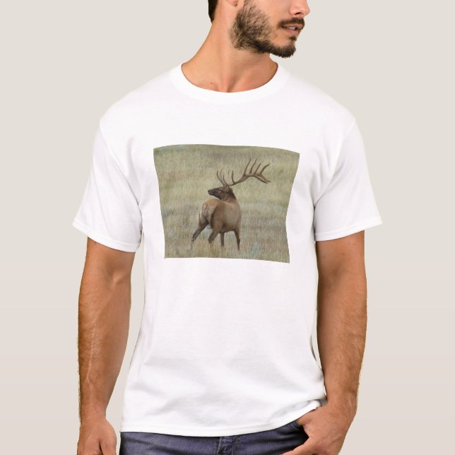 E6 Bullenelch in Velvet T-Shirt (Vorderseite)
