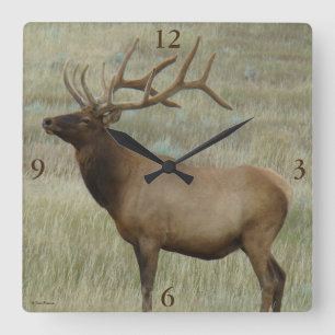 E8 Bull-Elch im Samt Quadratische Wanduhr