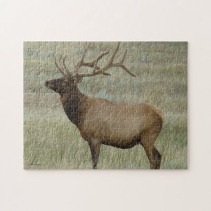 E8 Bull-Elch in Samt Puzzle