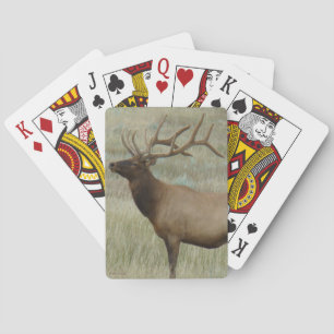 E8 Bull Elk in Samt Spielkarten