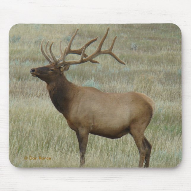E8 Bullenelch in Velvet Mousepad (Vorne)