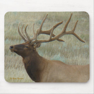 E9 BullElch in Samt Kopf und Schultern Mousepad