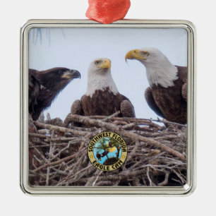 E9 u. Familien-Feiertags-Verzierung Silbernes Ornament