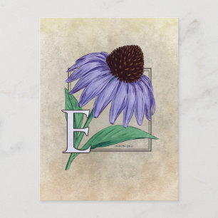 E für Monogramm-Karten der Echinacea-Blume Postkarte