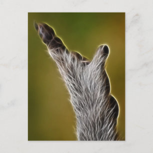 E.T. POSTKARTE