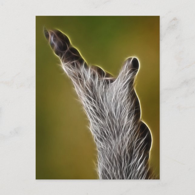 E.T. POSTKARTE (Vorderseite)