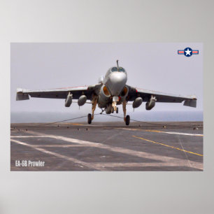 EA-6B PROWLER POSTER