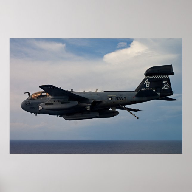 EA-6B Prowler Poster (Vorne)