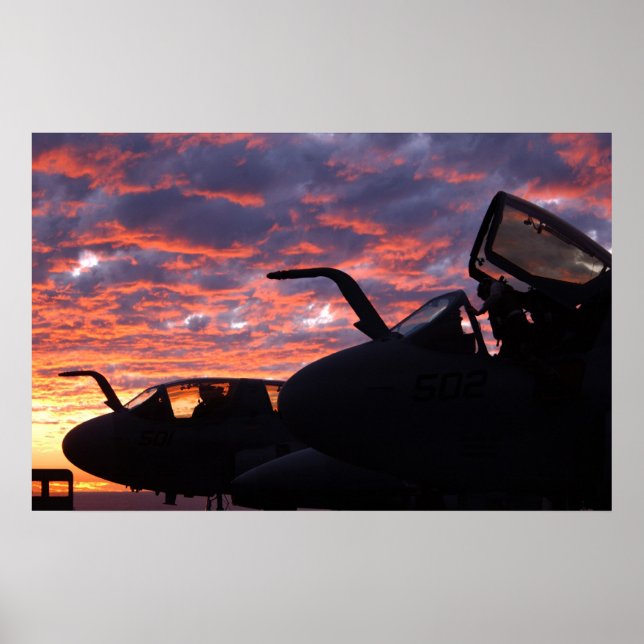 EA-6B Prowler Poster (Vorne)