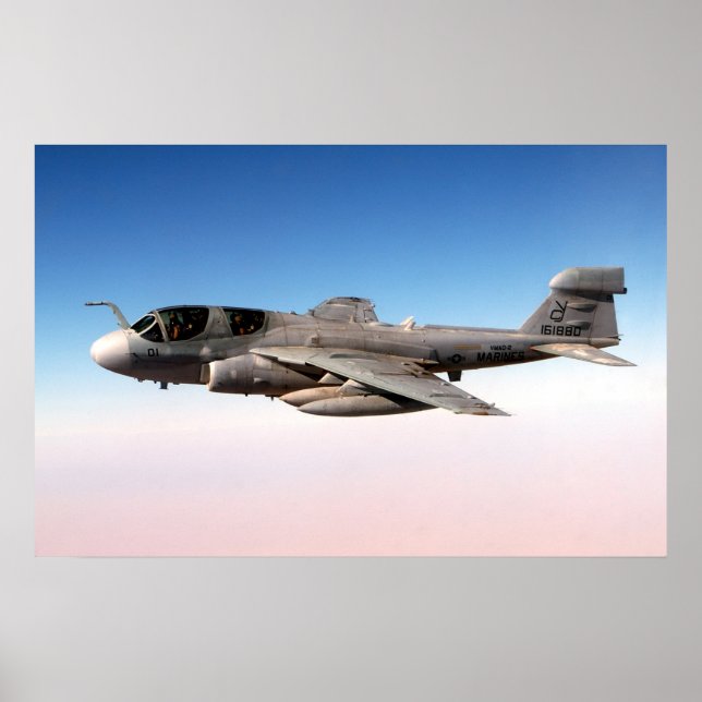 EA-6B Prowler Poster (Vorne)