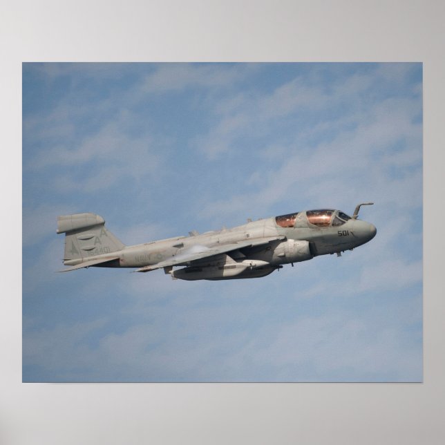 EA-6B Prowler Poster (Vorne)