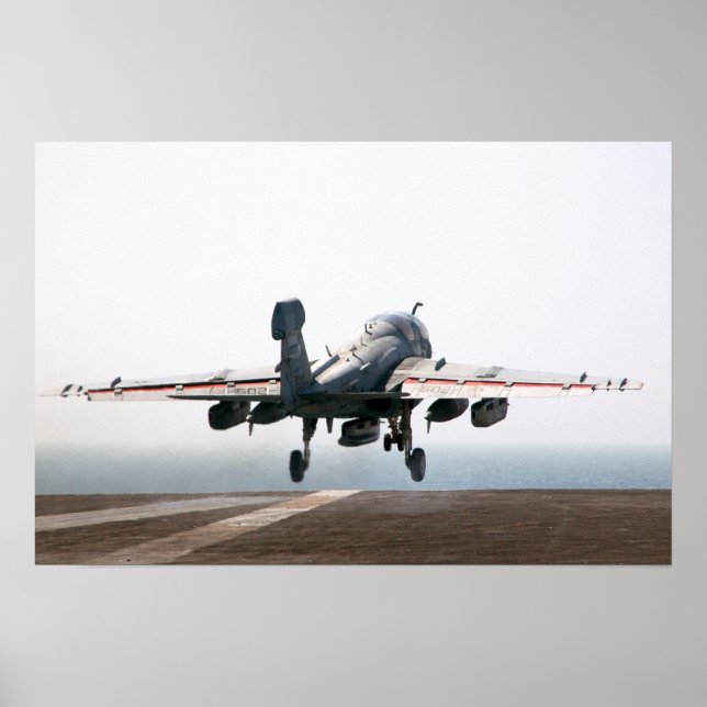 EA-6B Prowler Poster (Vorne)