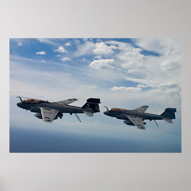 EA-6B Prowler Poster (Vorne)