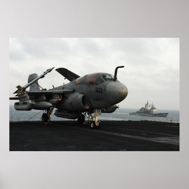 EA-6B Prowler Poster (Vorne)