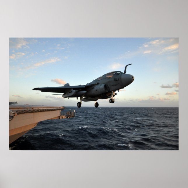 EA-6B Prowler Poster (Vorne)