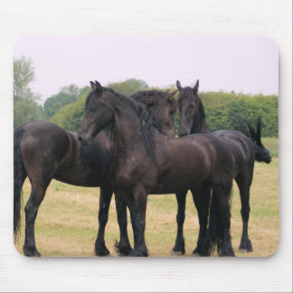 Eachother heraus überprüfen mousepad