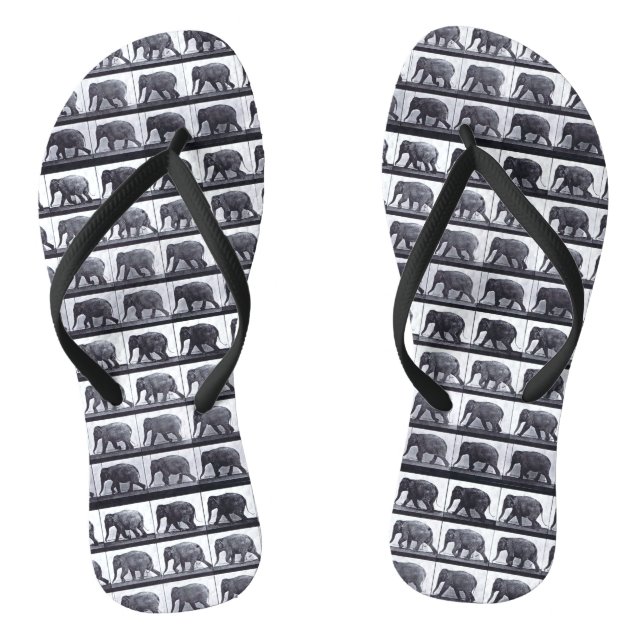 EADWEARD MUYBRIDGE ELEFANT dünne Bügel-Purzelbäume Flip Flops (Fußbett)