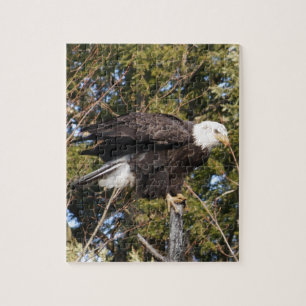 Eagle 7 puzzle