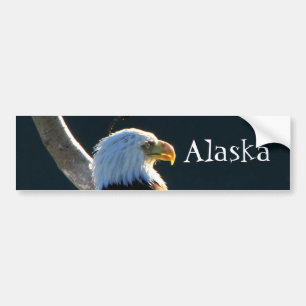Eagle an der Aufmerksamkeit; Alaska Autoaufkleber