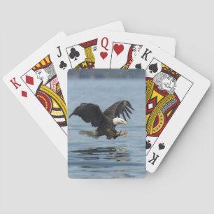 Eagle auf Annäherung Spielkarten