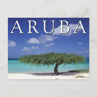 Eagle Beach | Karibik, Aruba Postkarte