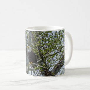 Eagle beobachtet die Tasse des Kaffees