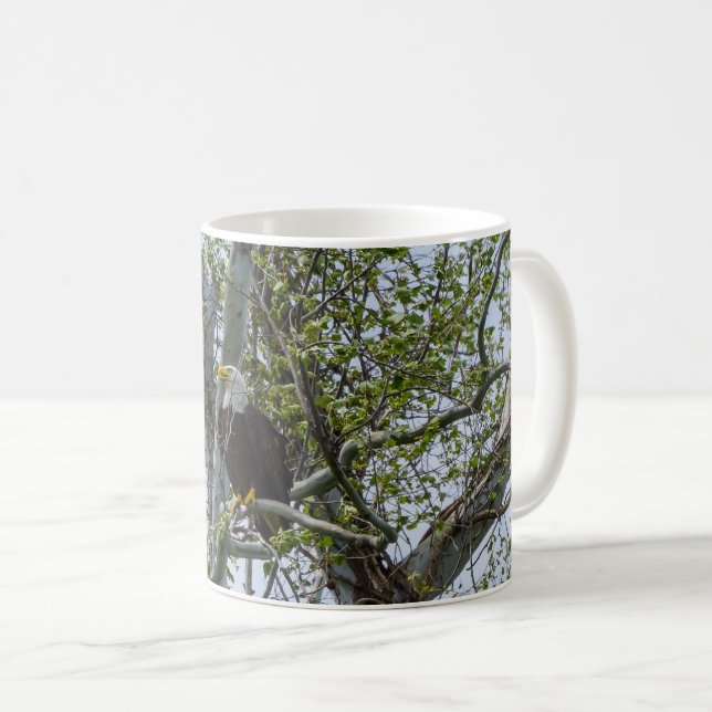 Eagle beobachtet die Tasse des Kaffees (VorderseiteRechts)