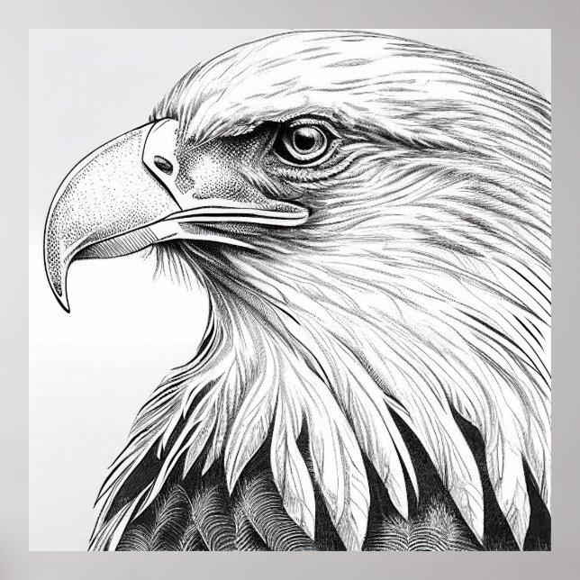 Eagle Bird Wild Nature Animal Illustration Art Poster (Vorne)
