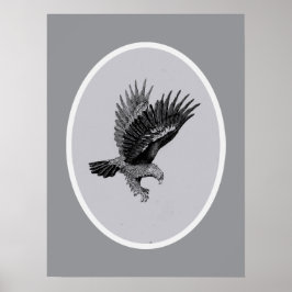 Eagle by Light    Poster