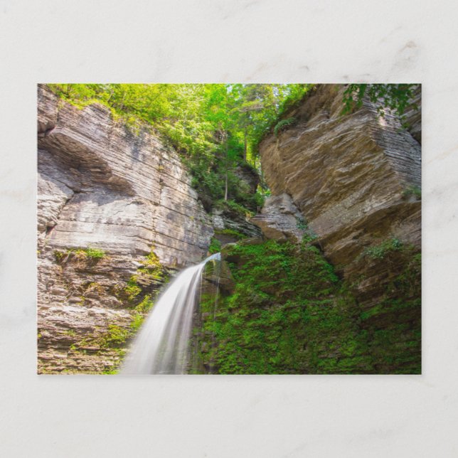 Eagle Cliff Falls, Havana Glen, Montour Falls, NY Postkarte (Vorderseite)