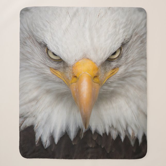 Eagle Closeup Sherpadecke (Vorderseite)