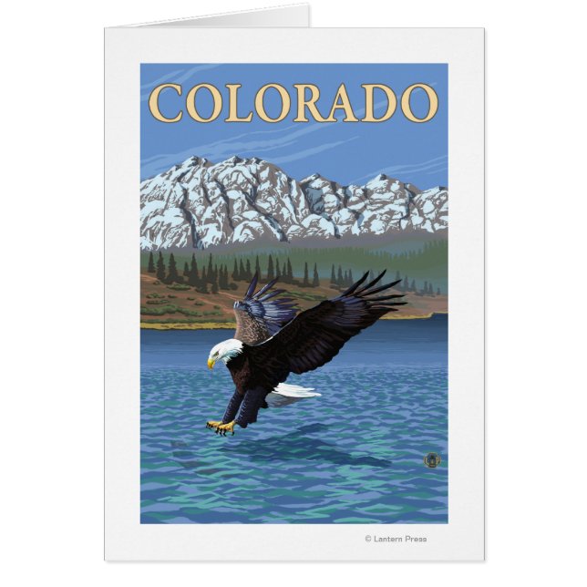Eagle DivingColorado (Vorne)