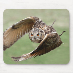 Eagle-Eule im Flug Mousepad