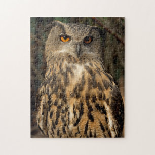 Eagle-Eule Puzzle