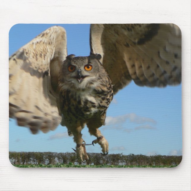 Eagle-Eule Swooping Mousepad (Vorne)