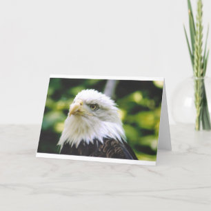 Eagle Eye Karte