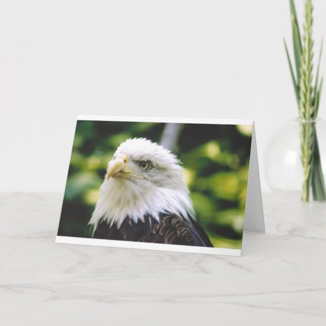 Eagle Eye Karte (Vorderseite)