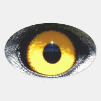 Eagle Eye
