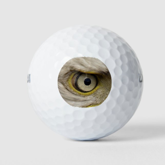 Eagle Eye Raptor Funny Foto Golfball (Vorderseite)