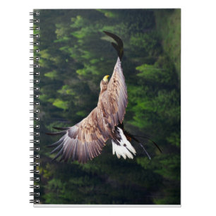 Eagle Eye View Notizblock