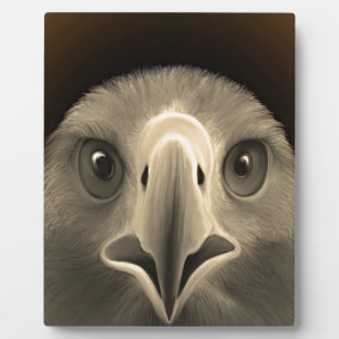 Eagle Eyes Fotoplatte