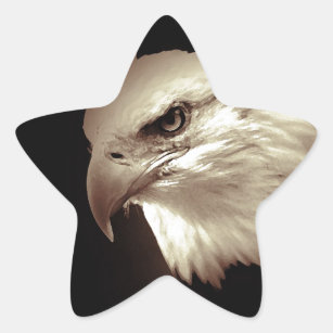 Eagle Eyes Stern-Aufkleber