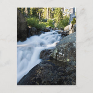 Eagle Fall Postkarte