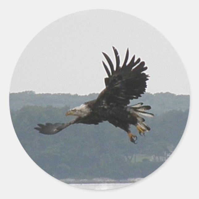 Eagle Flight Sticker (Vorderseite)