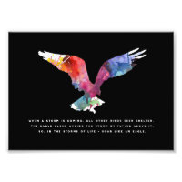 Eagle Flying Inspiration Motivierend Zitatkunst