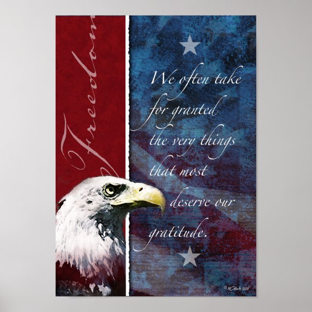 Eagle Freedom Poster (Vorne)